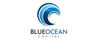 Blue Ocean Logo slide